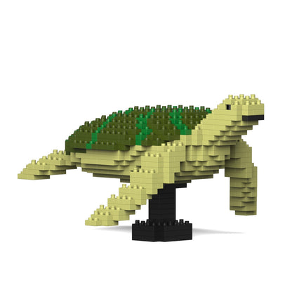 Sea Turtle 01-M02