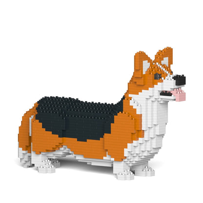 Welsh Corgi 02-M02