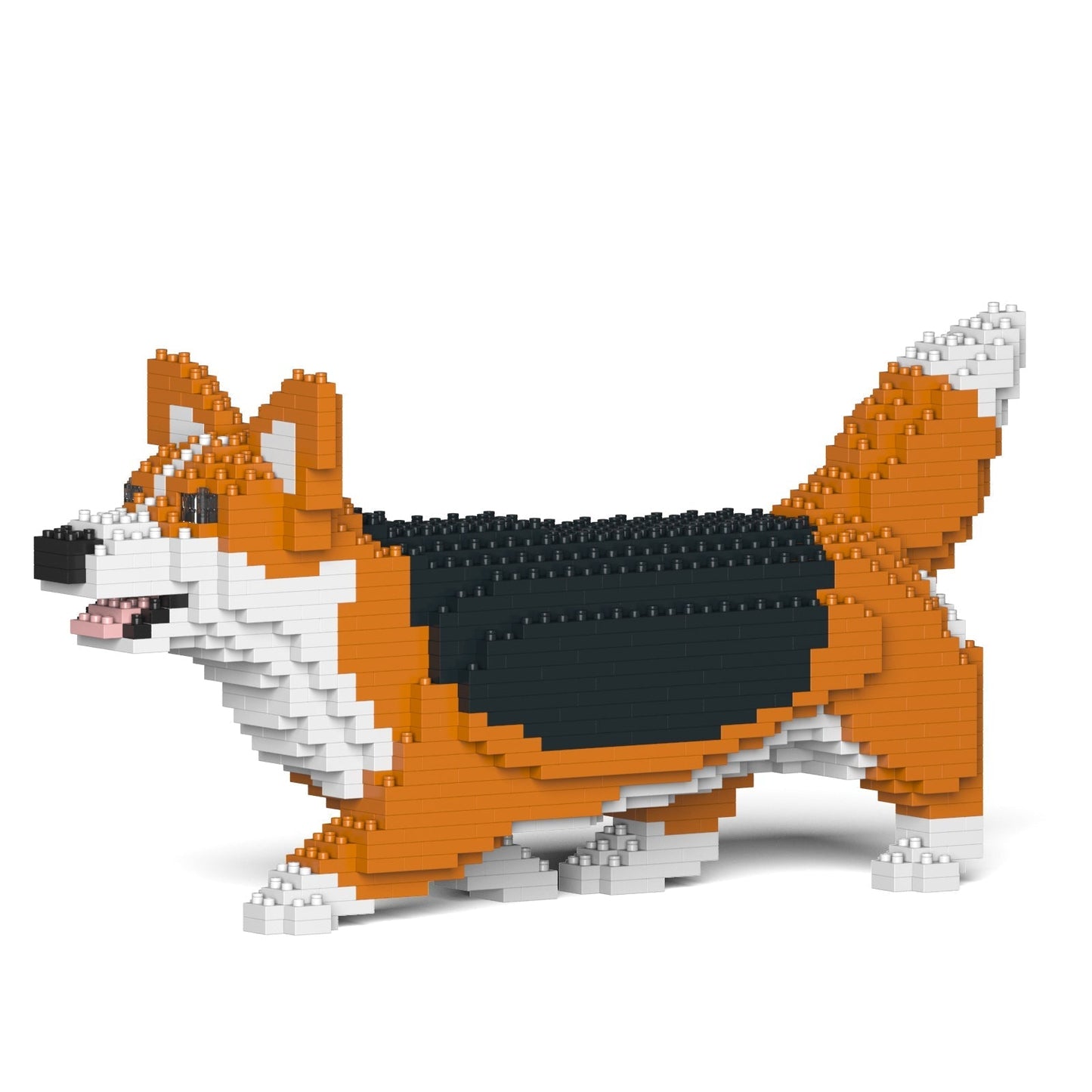 Welsh Corgi 04-M02