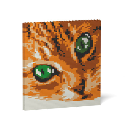 Cat Eyes Brick Painting 01S-M01