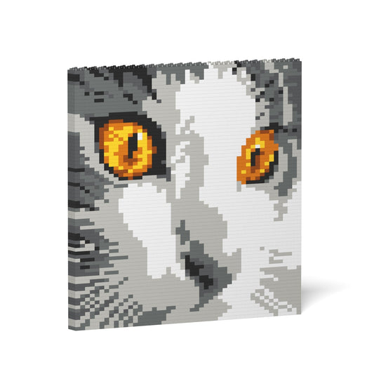 Cat Eyes Brick Painting 03S