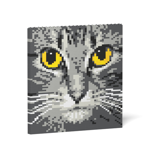 Cat Eyes Brick Painting 04S-M02